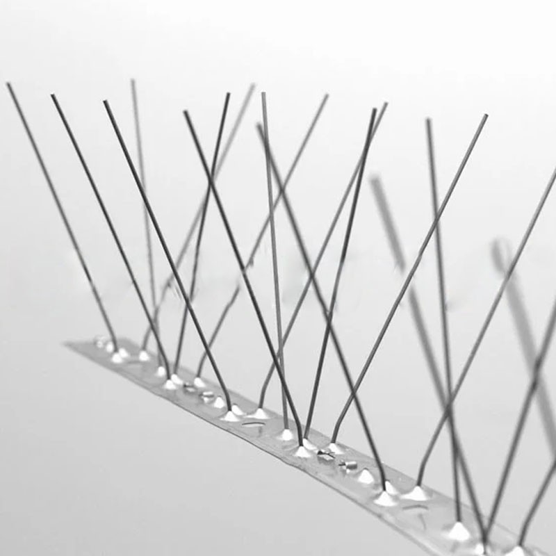 Dissuasore per volatili Dakota 1000x100mm a 66 punte in acciaio inox flessibile (25pz) Dakota - 4 Dissuasore per volatili Dakota 1000x100mm a 66 punte in acciaio inox flessibile (25pz) Dakota - 4