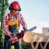 EINHELL ELETTROSEGA GH-EC 1835