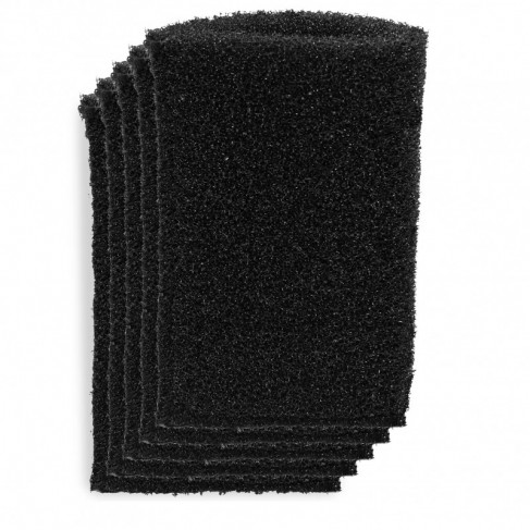 EINHELL FILTRO IN SCHIUMA (Set 5 pz.)