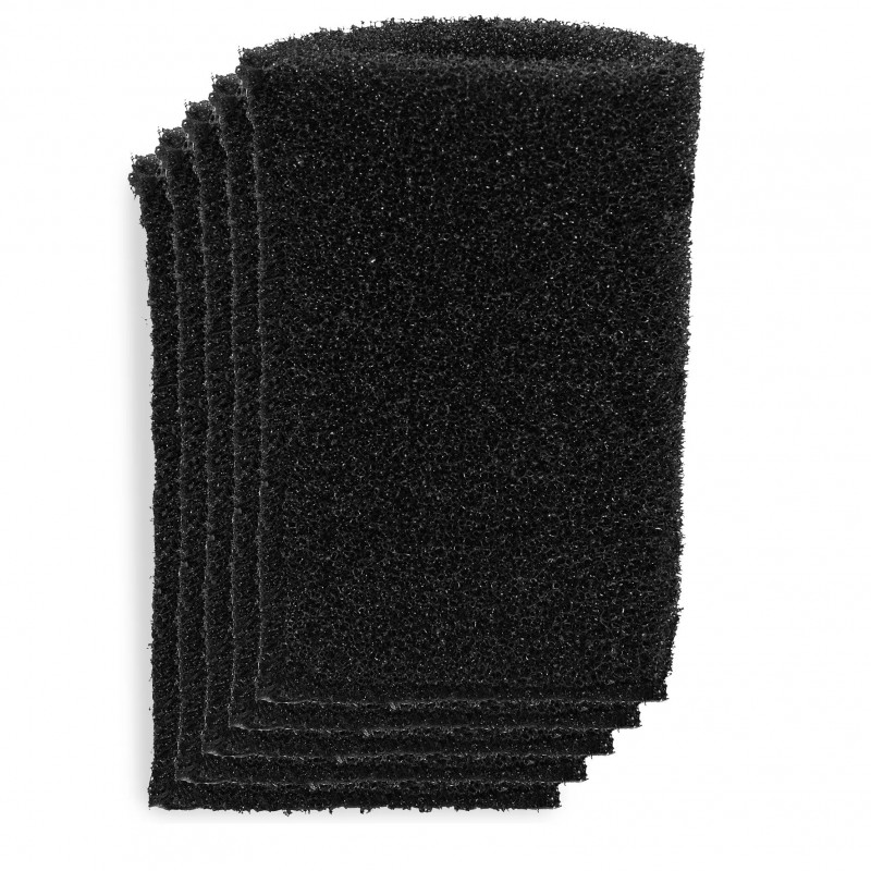 EINHELL FILTRO IN SCHIUMA (Set 5 pz.)