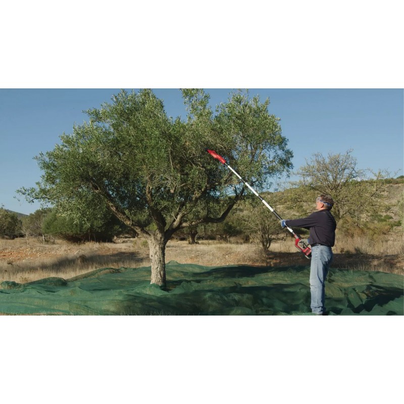EINHELL SCUOTITORE A BATTERIA PER OLIVE/FRUTTA GE-FS 18/53 Li-Solo