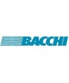 Bacchi
